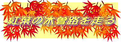 �g�t�̖ؑ]�H�𑖂�