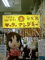 azuokinawa006.jpg