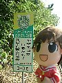 azuokinawa009.jpg