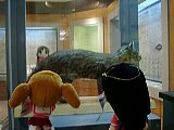 azuokinawa010.jpg