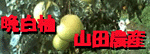 �R�c�_�Y