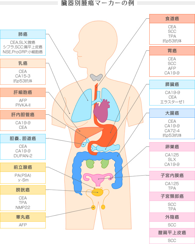 腫瘍マーカー