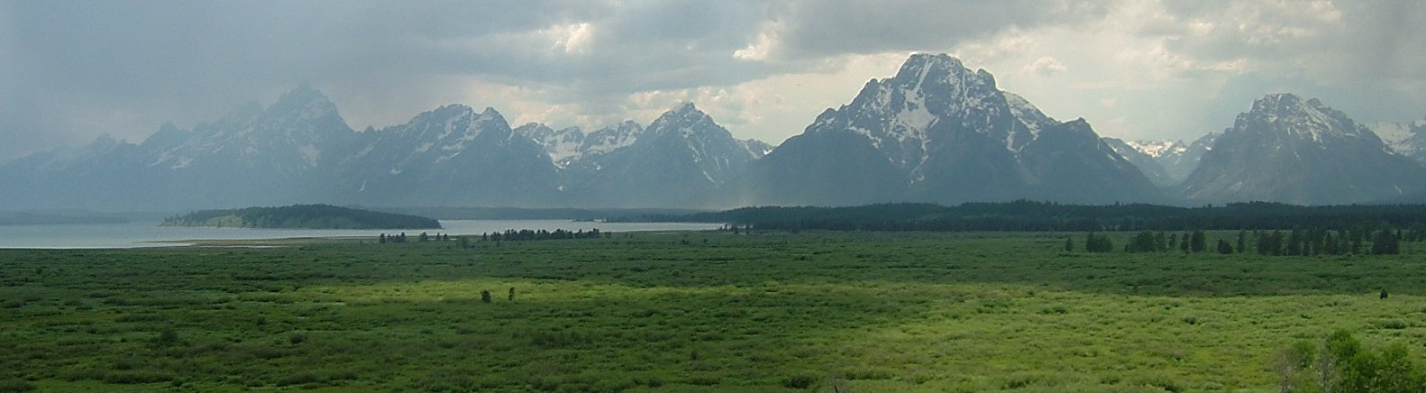 meadow