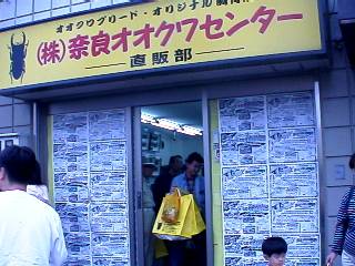 nara_20001103_13.jpg (21848 oCg)