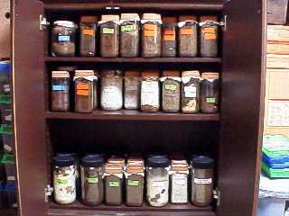 myroom2001_05.jpg (13017 oCg)