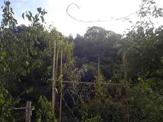 kosan_niwa.jpg (8383 バイト)