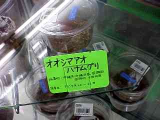 nara_ookuwa081306.jpg (9012 oCg)