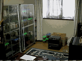 image1.gif (29200 oCg)