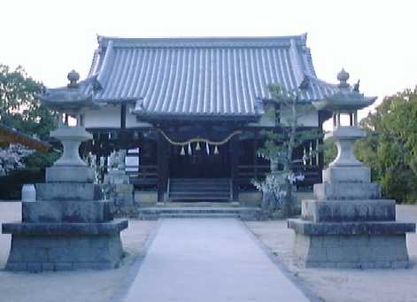 �����_��