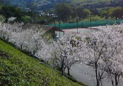 �^������