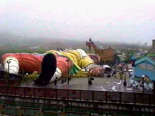 �K���o�[����