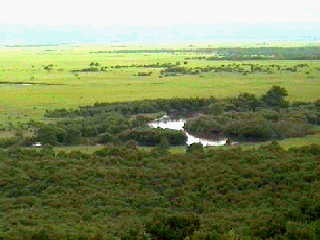 ���H����