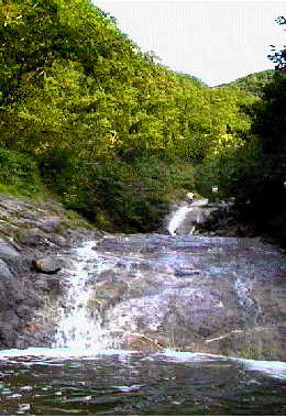 �J���C���b�J�̑�