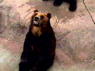 ���H������