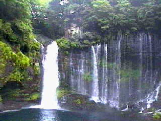 �����̑�