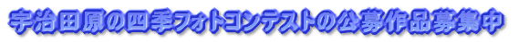 �F���c���̎l�G�t�H�g�R���e�X�g�̌����i��W�� 