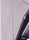 ant-1.jpg (13077 �o�C�g)