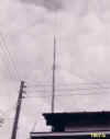 ant-2.jpg (10724 �o�C�g)