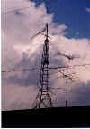 ant-5.jpg (19857 �o�C�g)