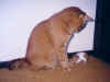 cat25.JPG (48528 �o�C�g)