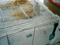 �Q�[�W���ŉ_����܁[���B