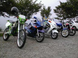 �W���ʐ^�����R����