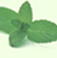 aromavera