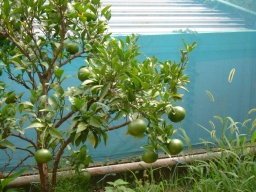�݂���01
