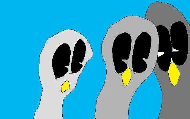 鳩が＾＾。