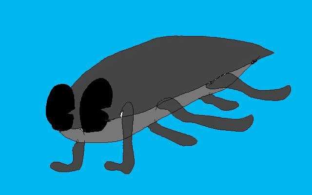 こっくろーちべいびー＾＾。