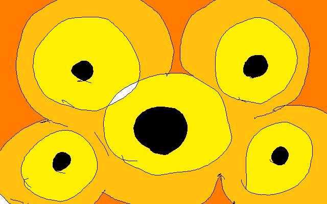 こんな柄の蝶が舞った＾＾。