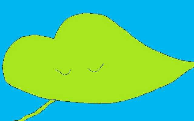 PLANT　LIKE　WIND^^.