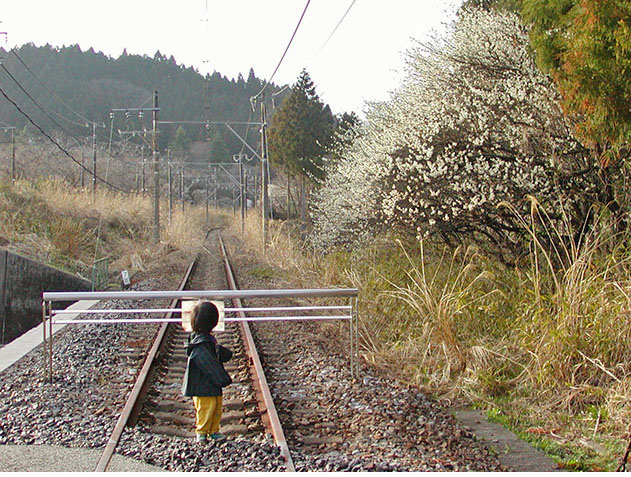 信越本線跡