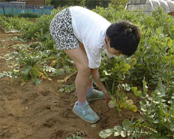 �����ڂ̎R�_�ƌ���